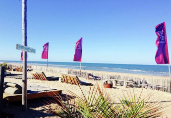Strandhaus Sea Lodges 'Bloemendaal 4' in den Niederlanden mit violetten Fahnen und Liegen am Sandstrand