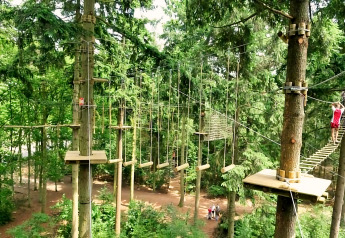 Foto van een hoog touwenparcours tussen bomen, waarbij iemand een hangbrug in een avonturenpark oversteekt.