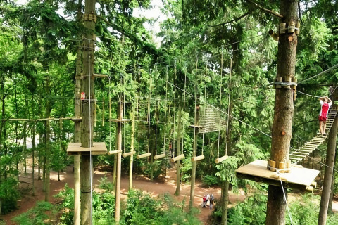 Photo of a high ropes course among trees, with a person crossing a suspended bridge in an adventure park.