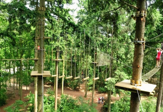 Beeld van een hoogteparcours in het bos, waar een persoon een touwbrug tussen de bomen oversteekt.
