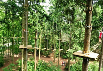 Billede af en høj svævebane blandt træer, hvor en person krydser en hængebro i en adventure park.