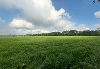 Photo of a green field with trees in the background and large clouds above, taken at a lodge.