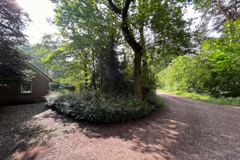 Zonnig pad bij een lodge tussen groene bomen en struiken, huis is links zichtbaar op de foto.