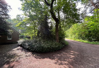 Solbeskinnet sti ved lodge, omgivet af grønne træer og planter med et hus til venstre i baggrunden.