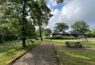 Udendørs lodge med grønne træer, picnicborde og en sti på en solrig dag med lyse skyer over huset.