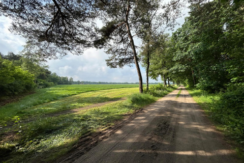Natursti ved Wellness Suite i Holland, omkranset af træer og grønne marker under en delvis skyet himmel.
