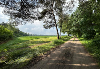 Natursti ved Wellness Suite i Holland, omkranset af træer og grønne marker under en delvis skyet himmel.