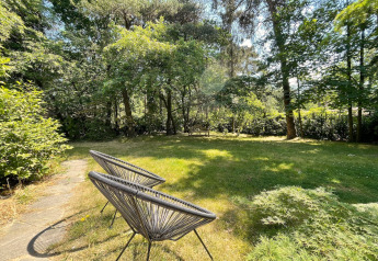Sunny garden with modern chairs and trees at Forest suite lodge in the Netherlands, peaceful setting.