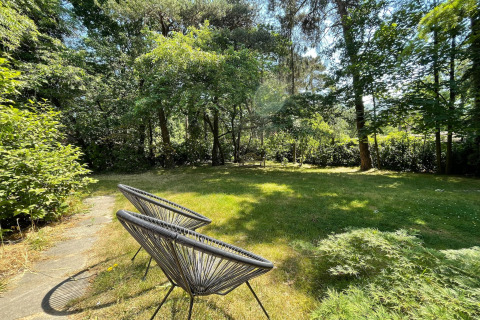 Zonnige tuin met moderne stoelen en bomen bij Forest suite lodge in Nederland, rustige sfeer.