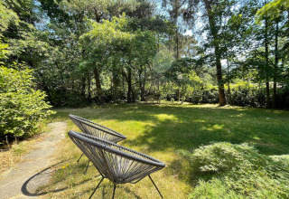 Sunny garden with modern chairs and trees at Forest suite lodge in the Netherlands, peaceful setting.