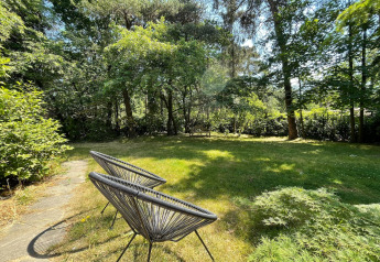 Jardín soleado con sillas modernas y árboles en Forest suite lodge, Países Bajos, ambiente tranquilo.