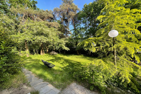 Zonnige tuin met bomen, een zwarte stoel, bankje en lantaarn bij Forest suite lodge in Nederland.