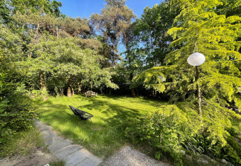 Jardín verde soleado con árboles, una silla negra y farol en Forest suite lodge en los Países Bajos.