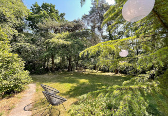 Garden with green trees, two black chairs and hanging lanterns, taken at Forest Suite lodge in the Netherlands.