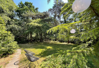 Jardín con árboles verdes, dos sillas negras y farolillos colgantes, en Forest Suite lodge en los Países Bajos.