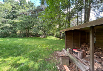 Lush green grass and trees beside a wood shed at the Forest Suite lodge in the Netherlands.