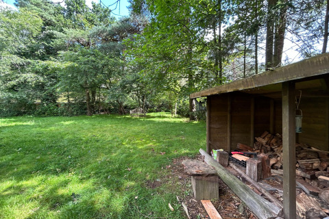Grüne Wiese und Bäume neben einem Holzschuppen bei der Forest Suite Lodge in den Niederlanden.