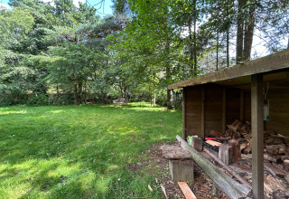 Lush green grass and trees beside a wood shed at the Forest Suite lodge in the Netherlands.