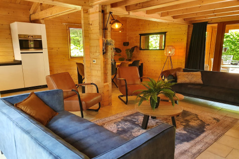Wohnzimmer der Luxus-Forestvilla Casa Madeira in den Niederlanden mit modernen Möbeln und Holzwänden.