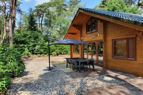 Terrasse extérieure du chalet Casa Madeira pour 6 personnes aux Pays-Bas, entourée de forêt