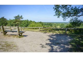 Banco de madera con vistas a los campos verdes y bosque en un glamping en un día soleado.