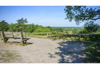 Houten zitbank met uitzicht op groene velden en bos bij een glampingverblijf op een zonnige dag.