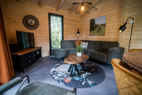 Gezellige woonkamer in een 4-persoons wellness lodge in Nederland, met houten muren, zetel en decoratie.