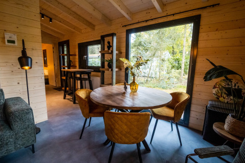 Gezellige leefruimte in een 4-persoons wellness lodge in Nederland met uitzicht op de natuur en houten wanden.