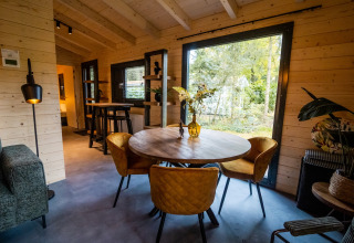 Gezellige leefruimte in een 4-persoons wellness lodge in Nederland met uitzicht op de natuur en houten wanden.