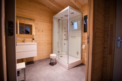 Modern bathroom in a 4-person wellness lodge in the Netherlands with glass shower and wood interior.
