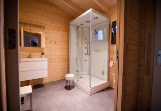 Modern bathroom in a 4-person wellness lodge in the Netherlands with glass shower and wood interior.