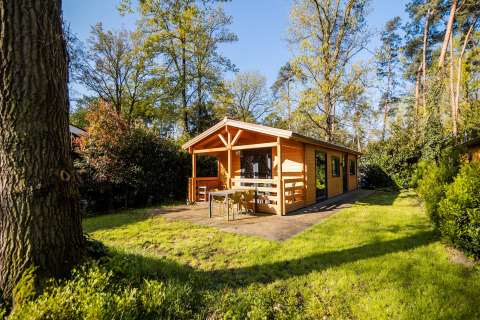 Cabaña wellness para 4 personas en los Países Bajos, rodeada de naturaleza en un día soleado.