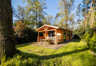Trælodge til 4 personer med wellnessfaciliteter, omgivet af natur i Holland, solrig dag.