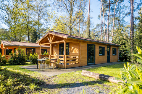 Buitenzicht op een 4-persoons wellness lodge in Nederland, omringd door natuur en groene bomen.