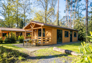 Vista exterior de un lodge de bienestar para 4 personas en los Países Bajos, rodeado de vegetación.