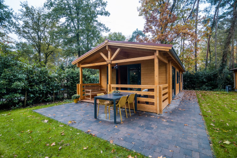 Acogedora cabaña wellness para 4 personas en los Países Bajos, con terraza, muebles y rodeada de naturaleza.