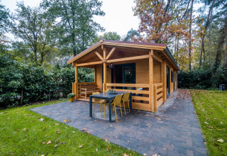 A cozy 4-person wellness lodge in the Netherlands, featuring a patio with dining furniture and lush green views.