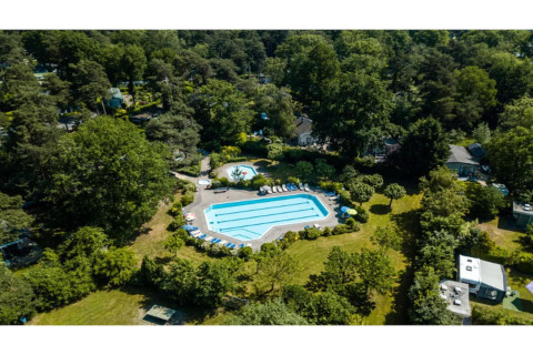 Luftfoto af en swimmingpool omgivet af grønne træer og liggestole på et ferielodge midt i naturen.
