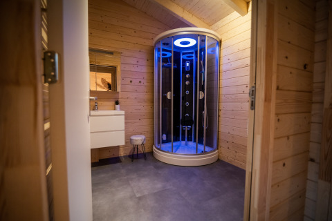 Modern bathroom with wooden walls and a high-tech shower with blue lighting in a 4-person wellness lodge.