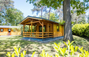 Afbeelding van een 2-persoons wellness lodge in Nederland, omringd door bomen en groen op een zonnige dag.