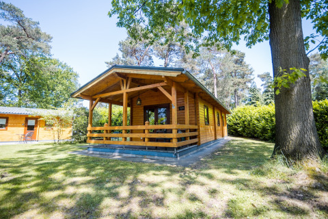 Et hyggeligt 2-personers wellness lodge i Holland, omgivet af træer og grønne omgivelser på en solrig dag.