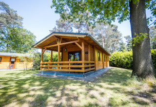 Et hyggeligt 2-personers wellness lodge i Holland, omgivet af træer og grønne omgivelser på en solrig dag.