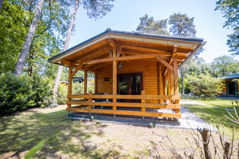 Hyggelig 2-personers wellness lodge i Holland, omgivet af grøn natur og træer, set udefra i solskin.