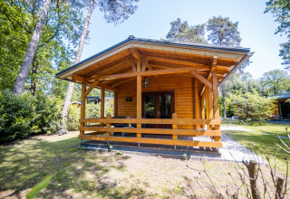 Hyggelig 2-personers wellness lodge i Holland, omgivet af grøn natur og træer, set udefra i solskin.