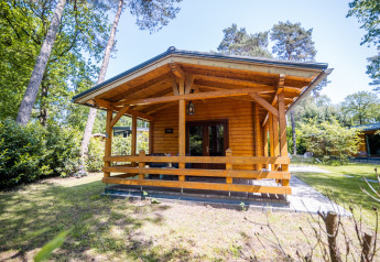 Lodge bien-être pour 2 personnes aux Pays-Bas, entourée d’arbres et de verdure, vue extérieure au soleil.