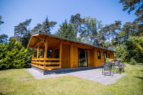 Cabaña de madera para dos personas con terraza, muebles de jardín y rodeada de naturaleza en los Países Bajos.