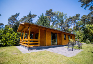 Træhytte med terrasse og havemøbler i grønne omgivelser, set under en klar blå himmel i Holland.