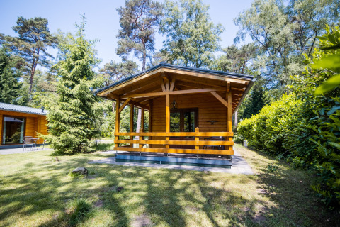Buitenaanzicht van een 2-persoons wellness lodge in Nederland, omringd door bomen en natuur.