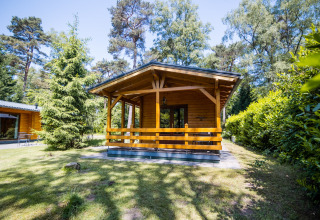 Udendørsbillede af 2-personers wellness-lodge i Holland, omgivet af grønne træer og natur.