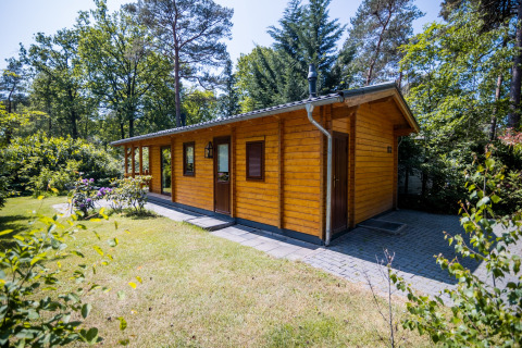Udendørsbillede af en hyggelig 2-personers wellness lodge i træ, omgivet af natur i Holland.